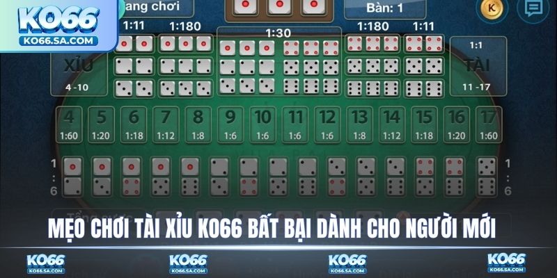 Mẹo chơi tài xỉu KO66 bất bại dành cho người mới